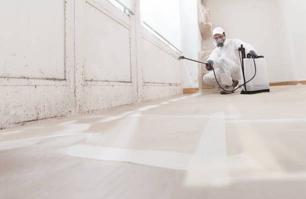 24/7 Emergency Black Mold Removal experts in Rutherford, NJ