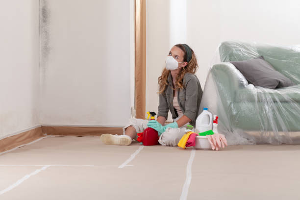 Reliable Black Mold Removal contractor in Rutherford, NJ by WQB Mold Removal